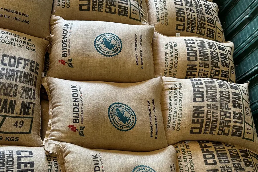 Sacos de café verde de Mayan Coffee apilados en la bodega de exportación