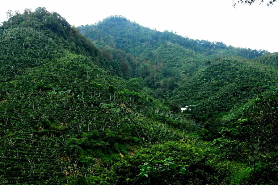 Montañas de San Nicolás vistas desde la finca